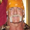 Hulk Hogan